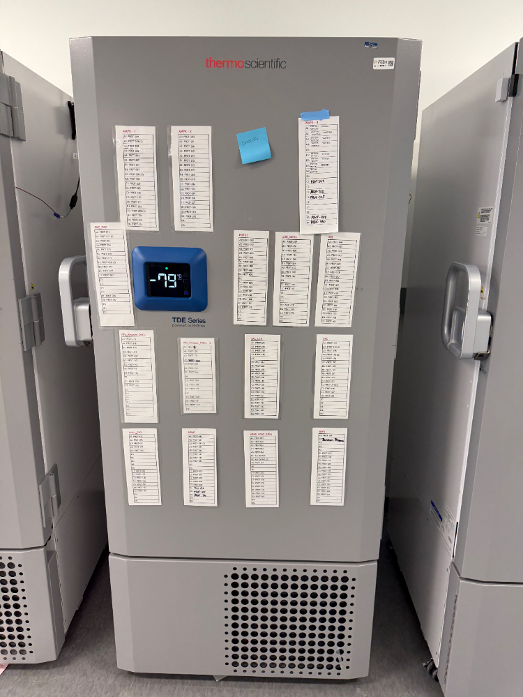 Image of Thermo Scientific TDE50086FA  Ultra-Low Temperature Freezer 86°C